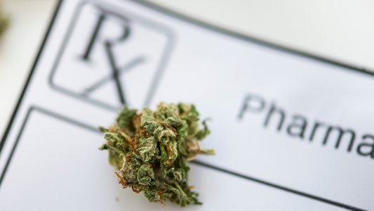 5 Common Diseases That Can Be Treated with Medical Marijuana